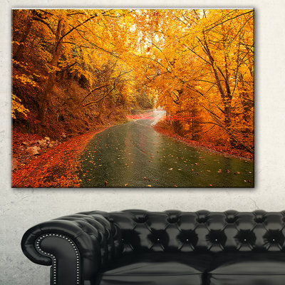 " Autumn Light Trails On Road "