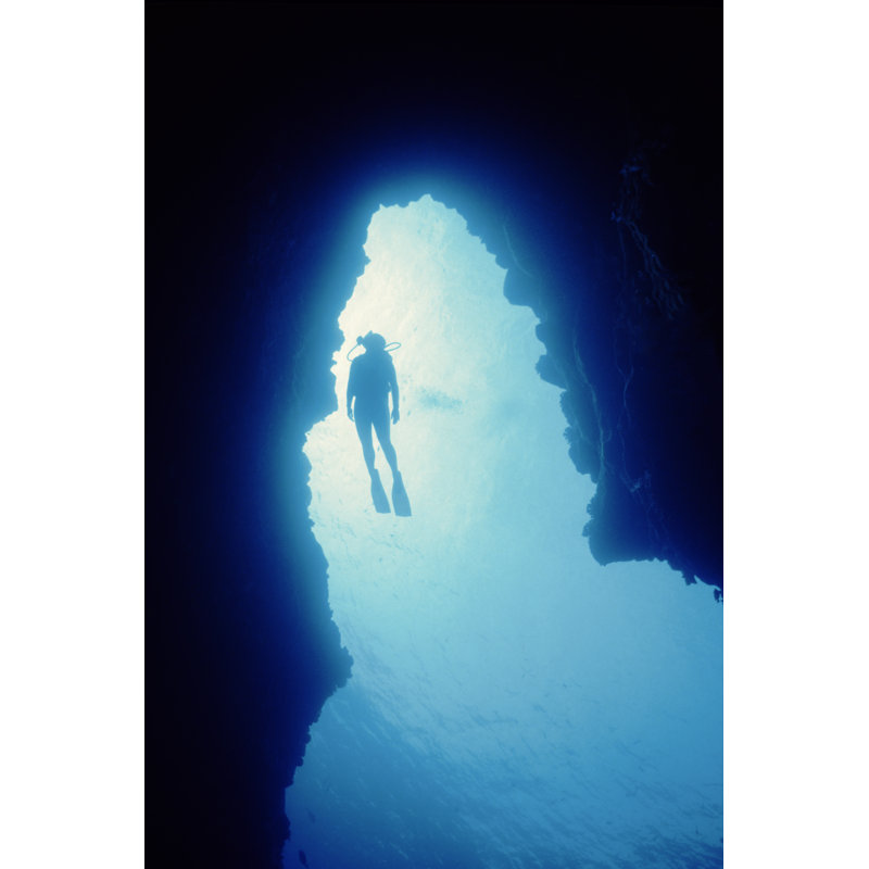 Into The Light by Tammy616 - Wrapped Canvas Print, 46cm H x 30cm W