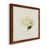 Maple Framed selected