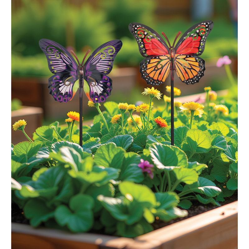 Ensemble de 2 choix de plantes papillons