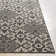Amato Ikat Indoor Rug