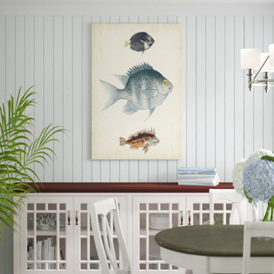 Antique Fish Species III - Painting Print