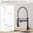 FLG Pull Down Kitchen Faucet-86384372