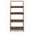 Casiana Ladder Bookcase-126756022-95356670