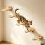 Ensemble de 5 plateformes flottantes murales pour chat