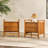 Maesie 2-Drawer Solid Wood Nightstands-98921961