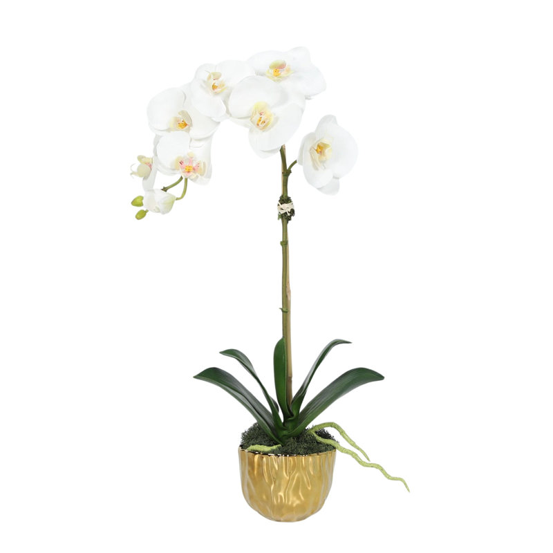 Faux orchidée dans un vase doré, Blanc, Or