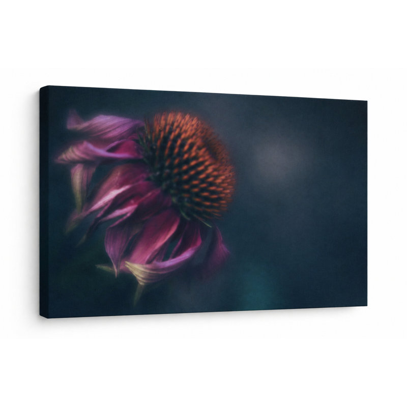 «Evening Bloom - Fine Art, estampe numérique sur toile tendue avec châssis, 2015