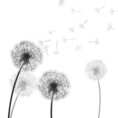 «Vector Dandelion», impression sur toile tendue