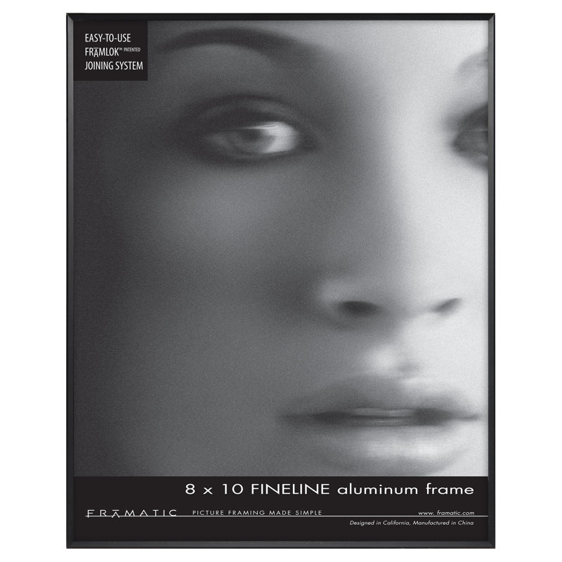 Fineline Picture Frame, 8" x 10", Black