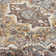 Jayveon Oriental Indoor Rug