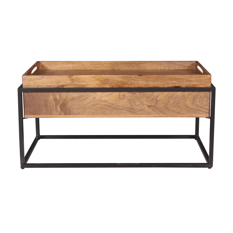 Lehoux Frame Coffee Table with Storage