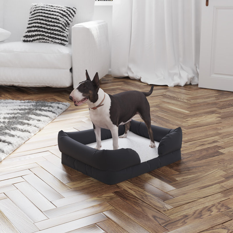 Abe Orthopedic Memory Foam Dog Bed - Removable, Washable Cover, Extra Small (25" W x 20" D x 7" H)