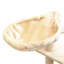 Amerina Cat Tree-303361623-303361642