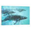 « pod », impression sur toile-74874800-74874799-19560945