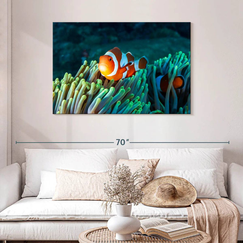 Brampt Frowning Clownfish, 30" H x 45" W