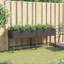 Raevynn Planter Box