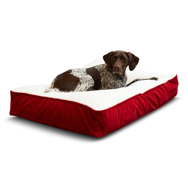 Lit pour chien Olivarez Classic, Moyen (L 42 po x l 30 po x H 6 po), Cramoisi