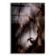 «Bighorn Silhouette Best» par Thomas Haney-1636773866
