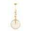 Nessa 1 Light Pendant-756874912