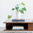 Jelso Walnut Coffee Table with Storage-1380535003