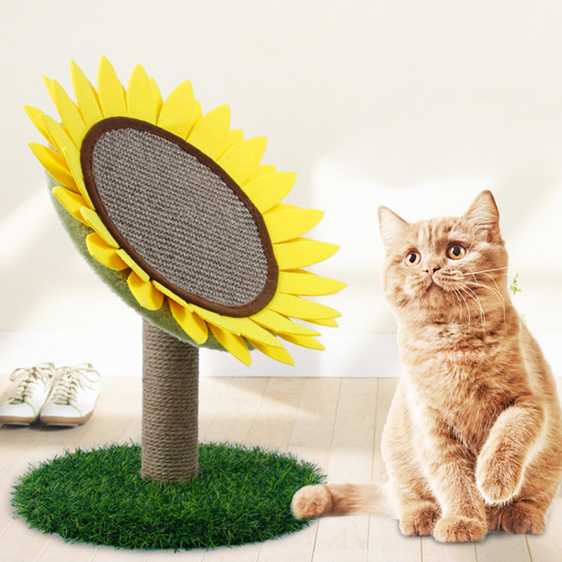 Chandra Scratching Post