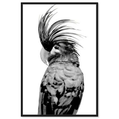 Animaux, cacatoès - Impression sur toile