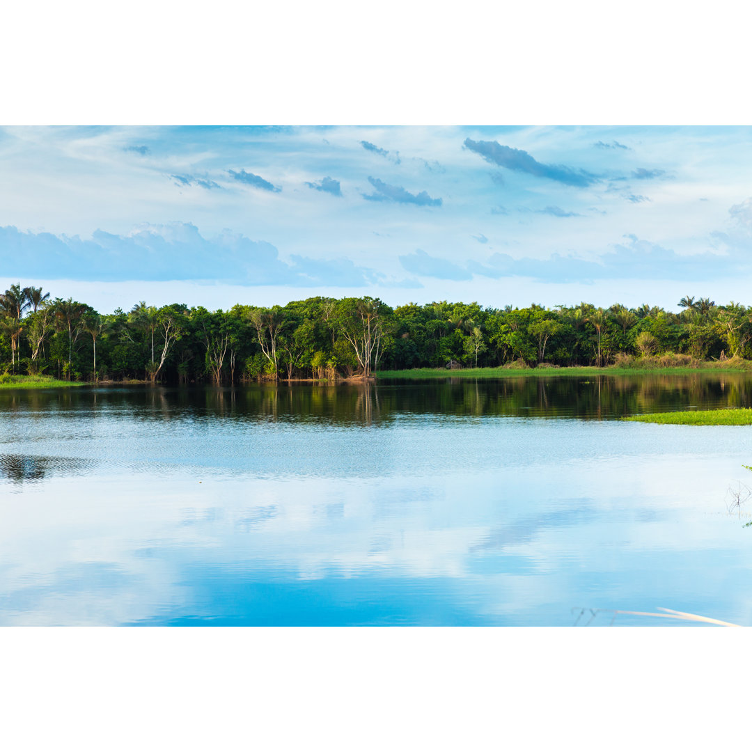 Amazonas-Feuchtgebiet in Brasilien