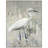 White Egret