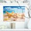 «Starfish and Seashells on Beach», photographie-1098963760-1098963771