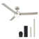 Brend 52'' Ceiling Fan with LED Lights