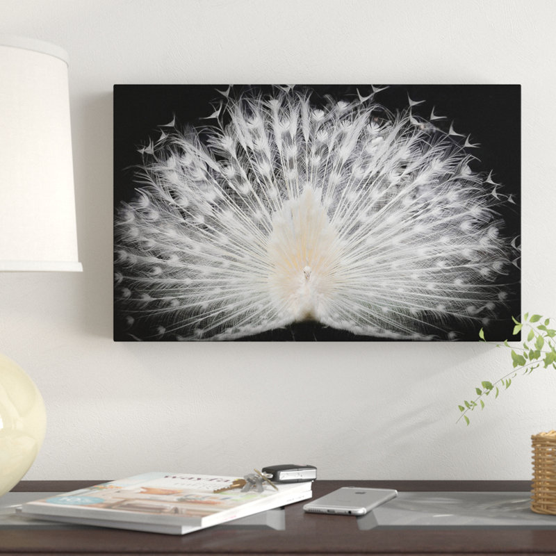 « white peacock portrait », reproduction de photo sur toile tendue, H 30 po x l 47 po x P 2 po