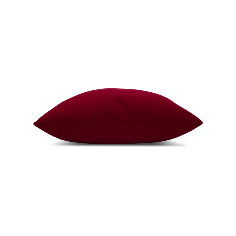 Plush Velvet Indoor & Outdoor Woven Accent Pillow, Lipstick