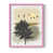 Rose sélectionné