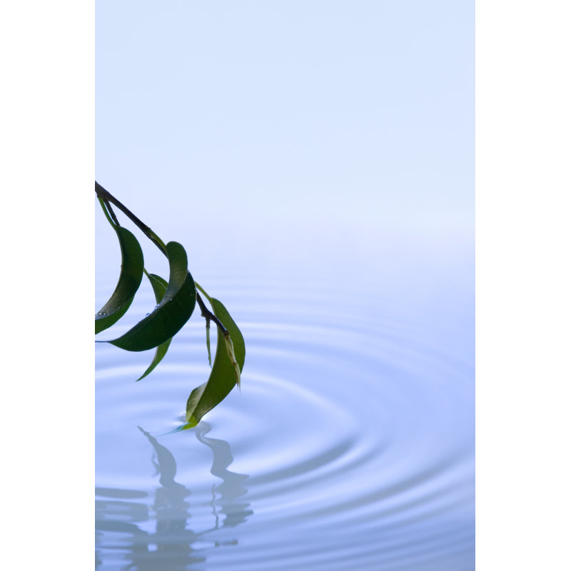 Spring: Blue by AZemdega - Wrapped Canvas Print, 76cm H x 51cm W x 3.8cm D