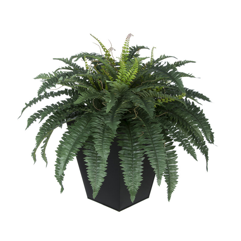 Plantes artificielles 12" en pot de fleurs, Noir