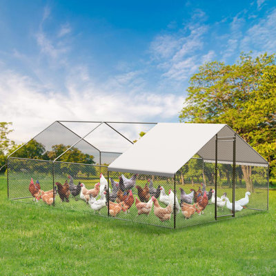 Chicken Coop
