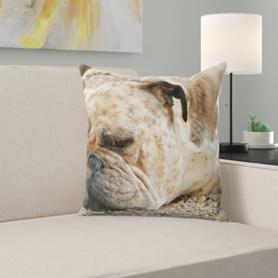 Coussin pour chien