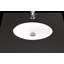 22.6'' L Bathroom Sink