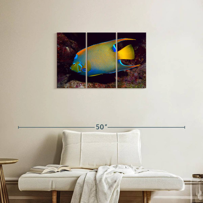 Brampt Glowing Queen Angelfish, 20" H x 33" W