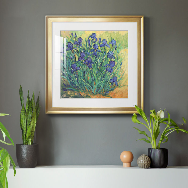 Iris en fleurs II - reproduction encadrée de qualité supérieure - prête à être accrochée, H 17,5 po x l 17,5 po x P 1,5 po