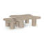 Placage de chêne Anwen et bois massif 2 pièces Table basse-815657245