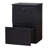 19'' Wide 2 -Drawer File Cabinet-1700006989