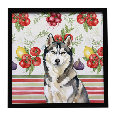 Agouti Siberian Husky Vegetables Framed Metal Print