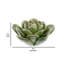 Fleur de désert en céramique Arciniega-860255304-860255305