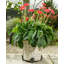 Weather Resistant Planter Feet