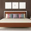 Coussin Jacqueline Maldonado Shapeshifter-1811738177