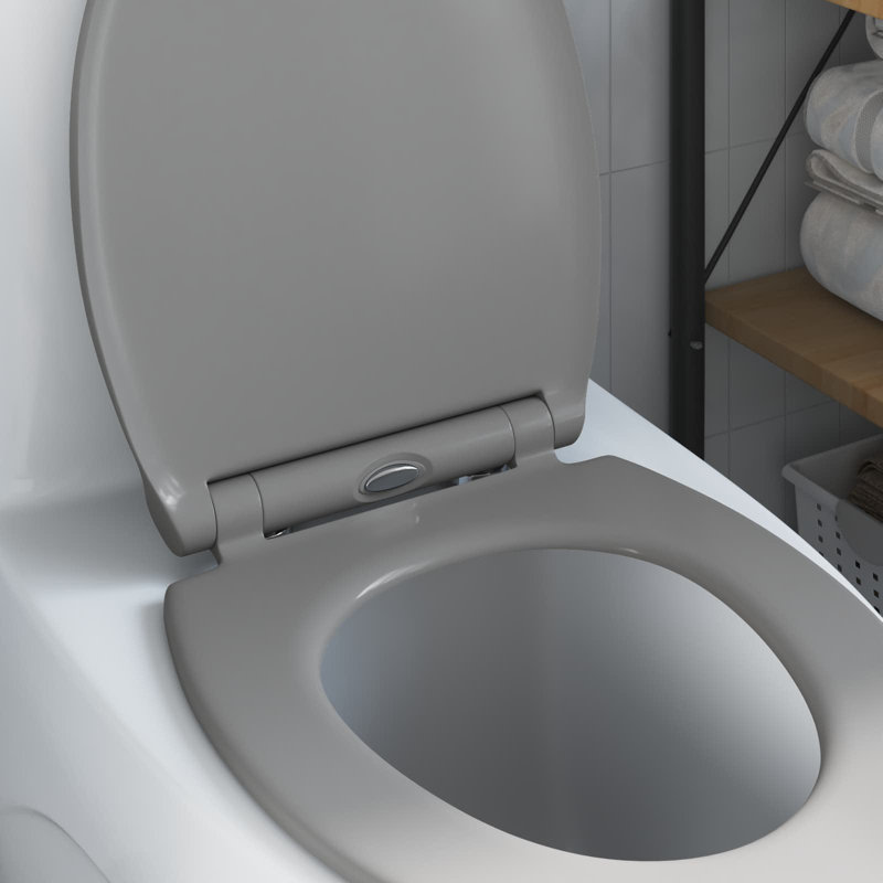 Anthracite Plastic Standard Adjustable Armrests Toilet Seat, Grey