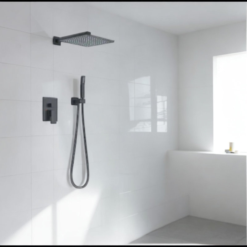 Ensemble de robinet de douche à pluie avec pomme de douche à main haute pression 10 pouces, Noir mat