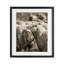 «Hugling Sheep in Flock», reproduction encadrée sous verre, conception de Martin Podt-1337269377-1337269379